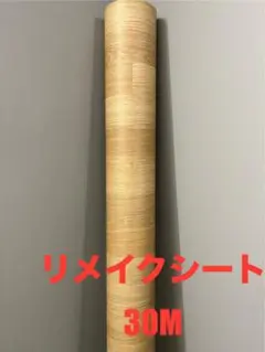 Item thumbnail for item e403173b-32ab-4f69-882a-e5d5ab2d9034