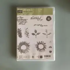 Painted Harvest クリアスタンプセット
