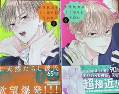 不可抗力のILOVEYOU 5、6巻セット