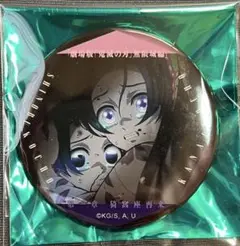 鬼滅の刃　胡蝶姉妹　缶バッジ　劇場版