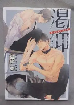 BL 渇仰