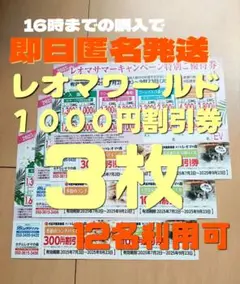 匿名配送レオマサマーキャンペーン特別ご優待券3枚 割引券 クーポン