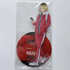 ハイキュー ゴミ捨て場の決戦 ビッグアクリルスタンド 狐爪研磨