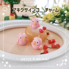 ②アキクサインコ　チャーム　キーホルダー