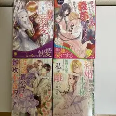 『TL小説』8-10-1 ノーチェ文庫・ソーニャ文庫４冊セット