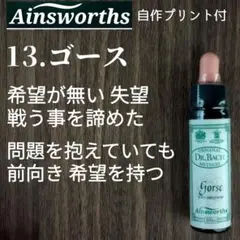 そば■ウォルナット5フラワークレマチススクレランサス■ヒーリングハーブス社 Healing Herbs／こころのバランスを取り戻す手助けを