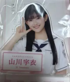 Item thumbnail for item 6d238d7e-f3fd-46a5-b190-8745b0bacaa5