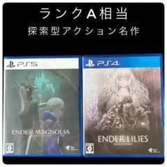 美品Aランク相当PS4 エンダーリリーズ & PS5 エンダーマグノリア セット