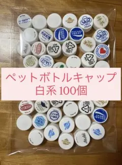 ペットボトルキャップ 100個 白系