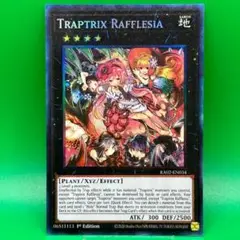 2025年最新】フレシアの蟲惑魔 コレクターズの人気アイテム