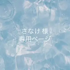 専用ページ