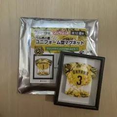 阪神タイガース ウル虎の夏ユニフォーム型マグネット