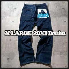 X-LARGE 20X1 PRINTED DENIM PANT y2k
