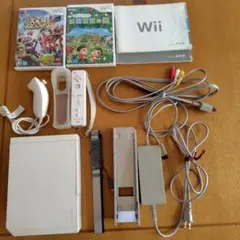 Wii本体とゲームソフト2本セット