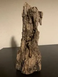 Item thumbnail for item bfcbd714-e5f3-4f7a-b8c5-fe8f0eb8fa3f