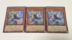 神芸学徒ファインメルト　スーパー 3枚　遊戯王
