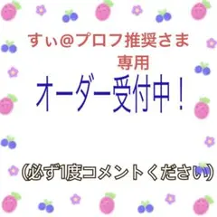 すぃ@プロフ推奨さま専用