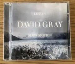 DAVID GRAY 海外盤CD - LIFE IN SLOW MOTION
