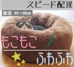Item thumbnail for item d2c4c4a2-e506-4cd4-b97f-68cdc9155c91