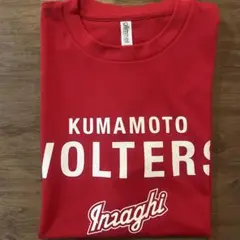 Item thumbnail for item 13e49f57-d7cc-4d4b-8bf6-0d94f3a09be4