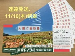 速達発送木曜日到着⭐️ 東京ドイツ村 入園ご招待券 チケット