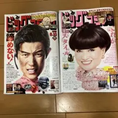 ビックコミック　2025年14号15号2冊セット　小学館