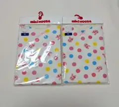 Item thumbnail for item ec83f4d1-6ded-4a23-b93c-1c933bfbc72e