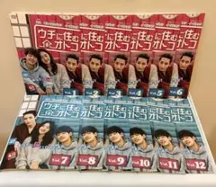 韓国ドラマ　ウチに住むオトコ　DVD 1-12巻　全巻セット