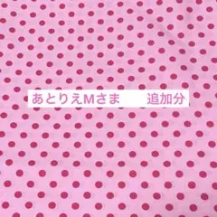 追加分