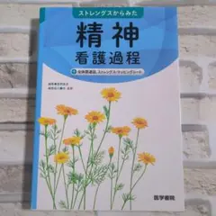 【極美品】精神看護過程 ストレングスからみた