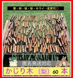 Item thumbnail for item eaf3b21a-8d97-4293-b9b0-bdb09309f3d8