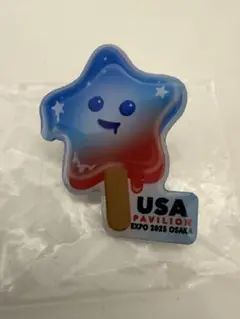 激レアUSA アメリカ館　ナショナルデー　ピンバッジ　大阪万博　2025