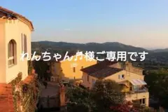 れんちゃん様ご専用です