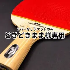 中国式ペン　スティガ　アークティックウッド