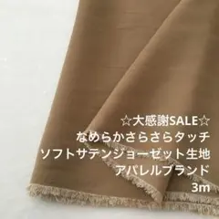 B2L/6899-04◆3m 感謝祭/ポリソフトサテンジョーゼット生地/アパレル