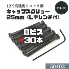 ミニ四駆 キャップスクリューボルト(皿ビス)25mm×30本 社外品 レンチ付