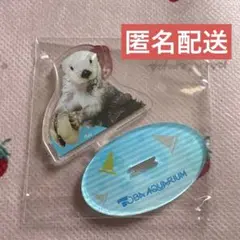 アクリルスタンド 鳥羽水族館　ラッコ　メイ