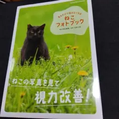 見るだけで目がよくなるねこフォトブック