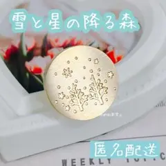 【匿名配送】シーリングスタンプヘッド 雪と星の降る夜 雪の結晶 スノーフレーク