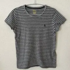 POLO RALPH LAUREN ストライプTシャツ 160cm