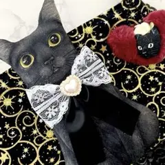 コヤンイサムチョン♡USA♡黒猫ちゃん♡ポシェット