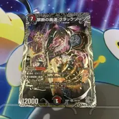 禁断の轟速ブラックゾーン　銀トレジャー