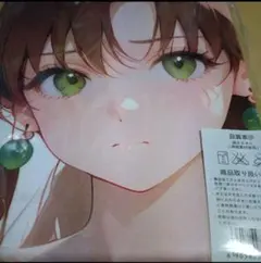 木野まこと　セーラージュピター　アニメタペストリー 女性キャラクター