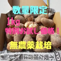 農薬不使用 化学肥料不使用 自然農法 里芋 特別価格!オマケつき!