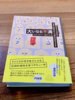 【最終値下げ】大いなる不満
