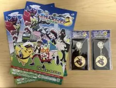 JR東日本 ポケモンメガスタンプラリー2025スペシャルメダル　レックウザ　2個