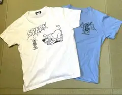 アメカジ tシャツ 2枚セット