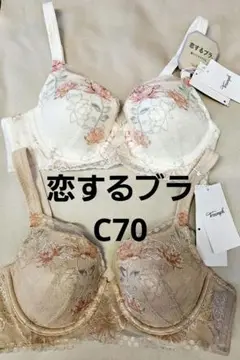 252248 トリンプ　ブラジャー恋するブラ　d75 2枚
