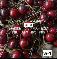 Item thumbnail for item 20610727-d30d-4265-92b2-f035e7e4a8c4