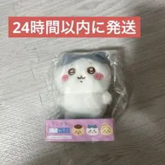 Item thumbnail for item 42ce6110-2366-4ce1-a726-a0fd46324ed9